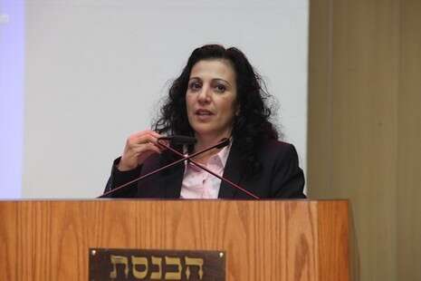 צילום: דוברות הכנסת צילום: דוברות הכנסת