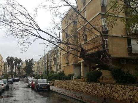 צילום: עיריית ראשון צילום: עיריית ראשון