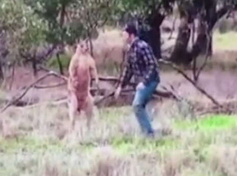 צילום מסך: מתוך הסרטון צילום מסך: מתוך הסרטון