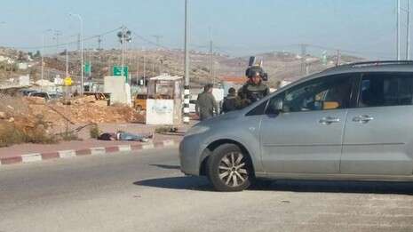צילום: יצחק עמרני צילום: יצחק עמרני