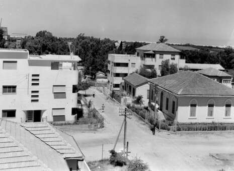 צילום: קלוגר זולטר/ לע''מ צילום: קלוגר זולטר/ לע''מ
