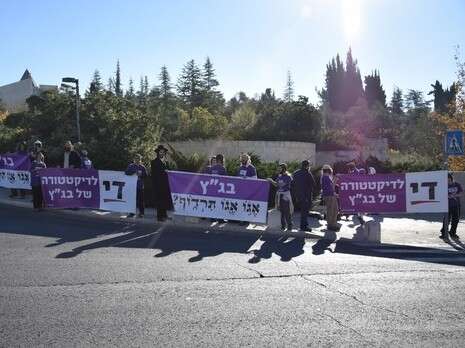 צילום: אברהם שפירא צילום: אברהם שפירא