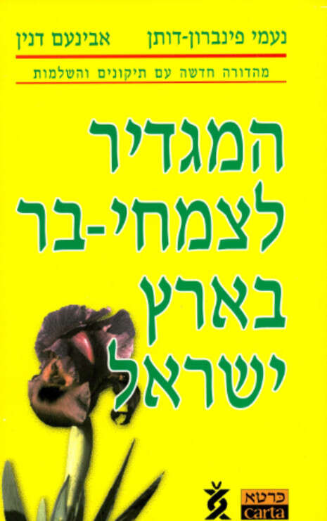 עטיפת הספר עטיפת הספר