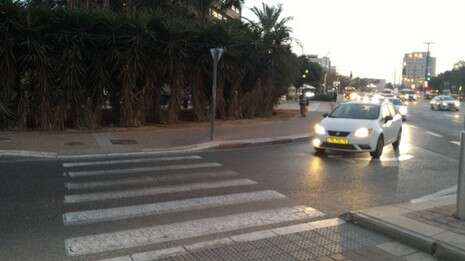 צילום: ניקי גוטמן צילום: ניקי גוטמן