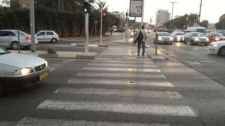 צילום: ניקי גוטמן צילום: ניקי גוטמן