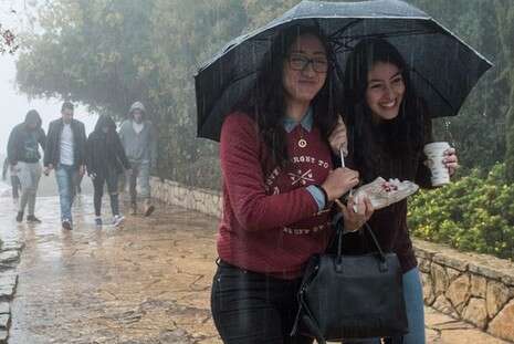 צילום: אייל מרגולין ג'יני צילום: אייל מרגולין ג'יני