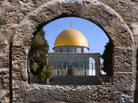 צילום: SHUTTERSTOCK צילום: SHUTTERSTOCK