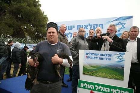 צילום: נעם ריבקין פנטון צילום: נעם ריבקין פנטון