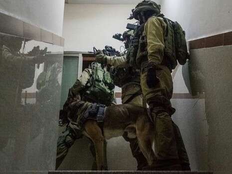 צילום: דובר צה''ל צילום: דובר צה''ל