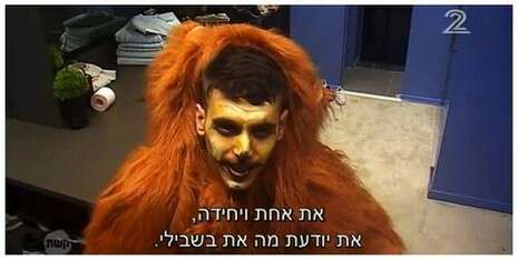 צילום מסך צילום מסך