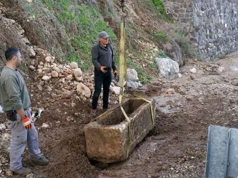 צילום: דרור בן יוסף, רשות הטבע והגנים צילום: דרור בן יוסף, רשות הטבע והגנים
