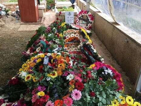 צילום: מישל דוט קום צילום: מישל דוט קום
