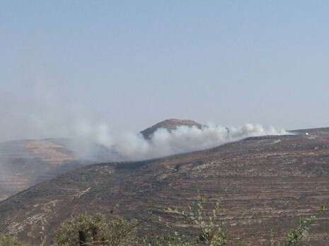 צילום: תנועת רגבים צילום: תנועת רגבים