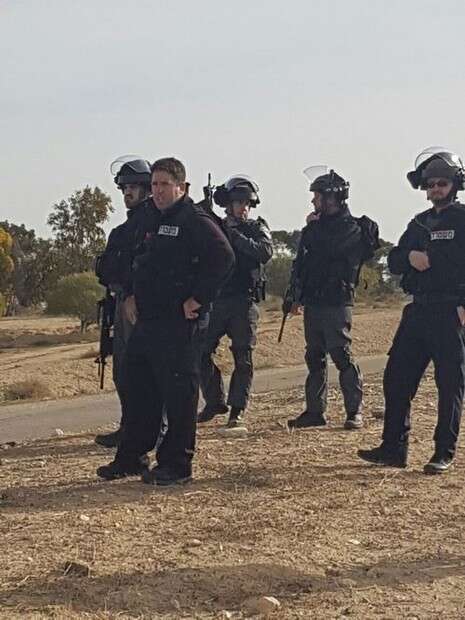 צילום: דודו גרינשפן צילום: דודו גרינשפן