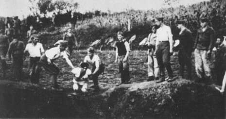 צילום: מתוך ויקיפדיה צילום: מתוך ויקיפדיה
