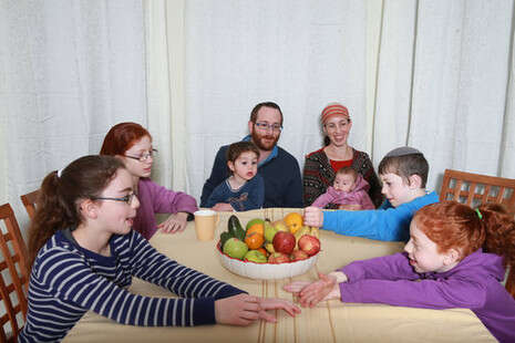 צילום: מירי צחי צילום: מירי צחי