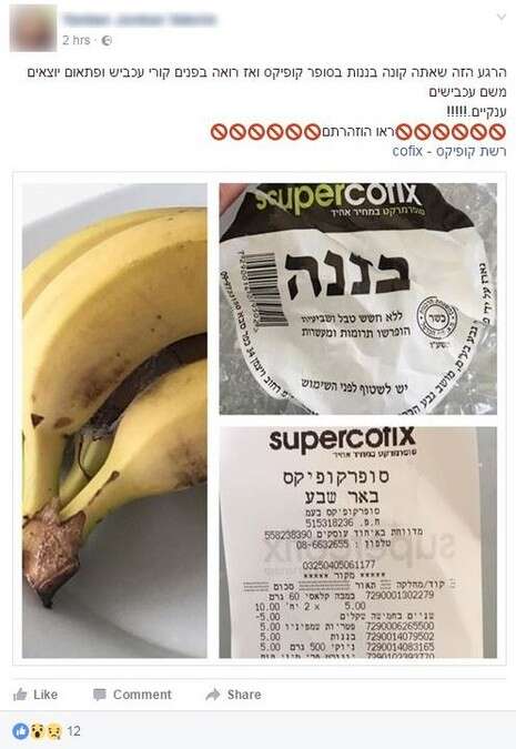 צילום: צילום מסך צילום: צילום מסך