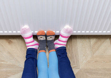 צילום: SHUTTERSTOCK צילום: SHUTTERSTOCK