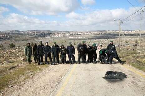 צילום: מירי צחי צילום: מירי צחי