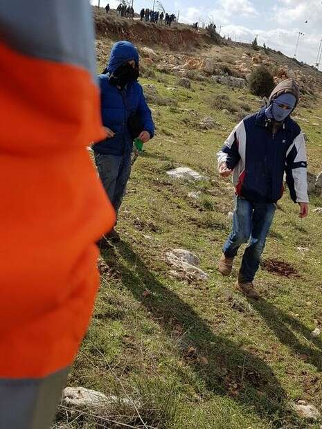 צילום: חופי עמוס צילום: חופי עמוס