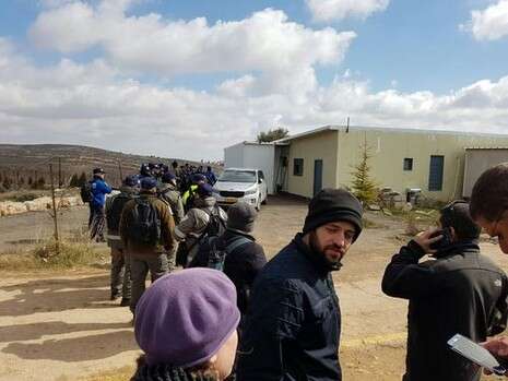 צילום: חופי עמוס צילום: חופי עמוס