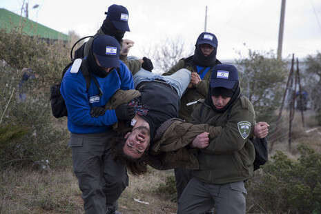 צילום: AP צילום: AP