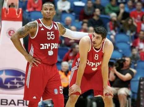 צילום: אלן שיבר צילום: אלן שיבר