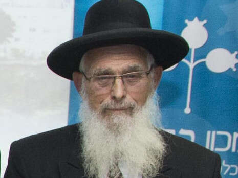 צילום: מיכאל ארנבורג, המרכז האקדמי לב צילום: מיכאל ארנבורג, המרכז האקדמי לב