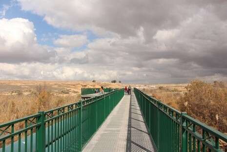 צילום: לבנת גינצבורג צילום: לבנת גינצבורג