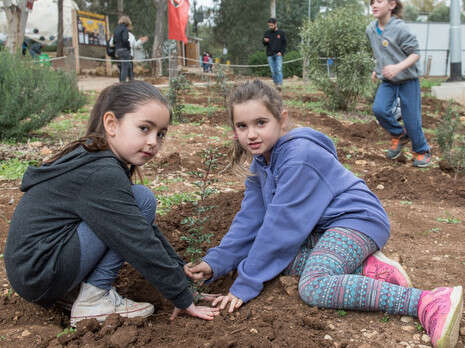 צילום: אייל מרגולין, ג'יני