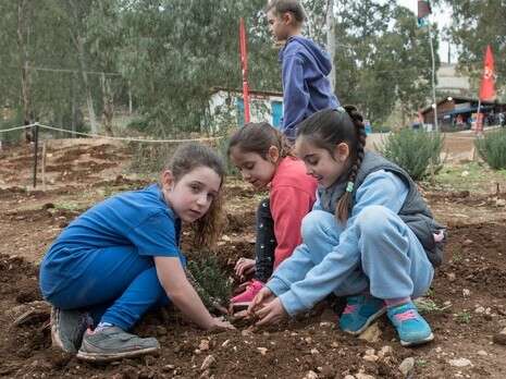 צילום: אייל מרגולין, ג'יני