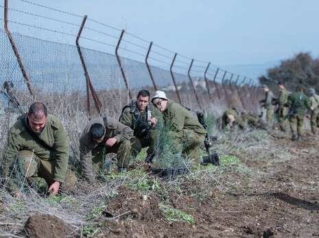 צילום: אייל מרגולין, ג'יני