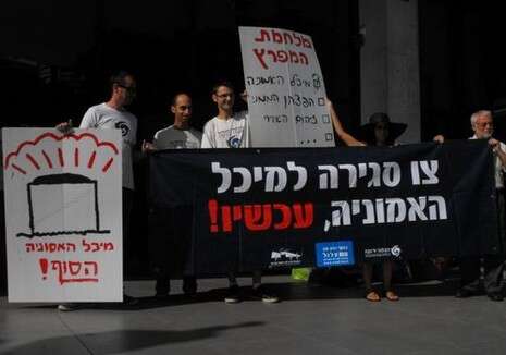 צילום: ארגון מגמה ירוקה צילום: ארגון מגמה ירוקה