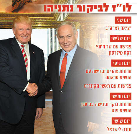 צילום: AP צילום: AP