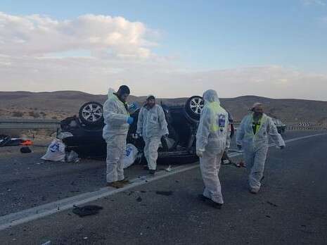 צילום: דודו גרינשפן צילום: דודו גרינשפן