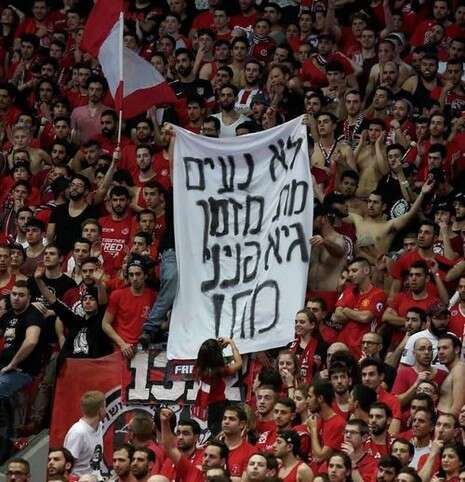 צילום: אלן שיבר צילום: אלן שיבר