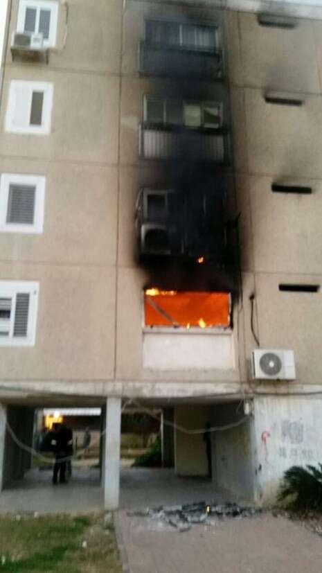 צלם: דוד רמון צלם: דוד רמון