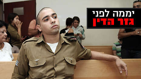צילום: גדעון מרקוביץ צילום: גדעון מרקוביץ