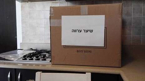 צילום: אבי הרשקוביץ צילום: אבי הרשקוביץ