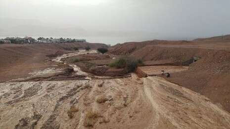 צילום: יהודה בן יתח צילום: יהודה בן יתח