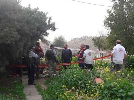 צילום: דוברות הר חברון צילום: דוברות הר חברון
