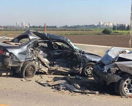 צילום: מישל דוט קום צילום: מישל דוט קום