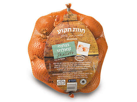 צילום: ראובן אילת צילום: ראובן אילת