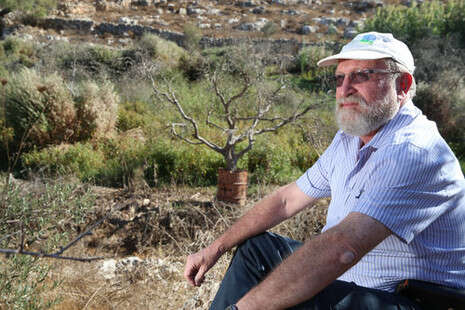 צילום: מירי צחי צילום: מירי צחי
