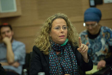 צילום: נעם ריבקין פנטון צילום: נעם ריבקין פנטון