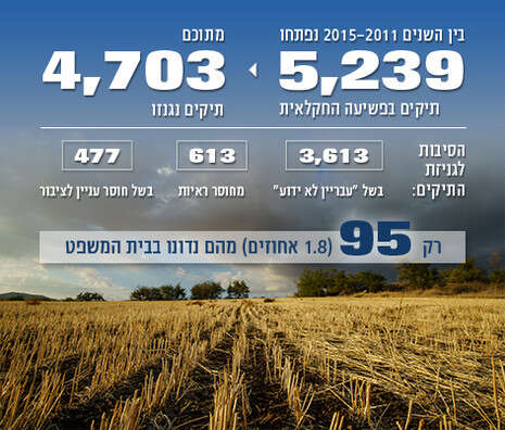 צילום: אנצ'ו גוש, ג'יני צילום: אנצ'ו גוש, ג'יני