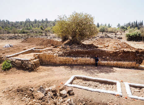 צילום: מקסים דינשטיין, רשות העתיקות צילום: מקסים דינשטיין, רשות העתיקות