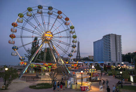 צילום: SHUTTERSTOCK צילום: SHUTTERSTOCK