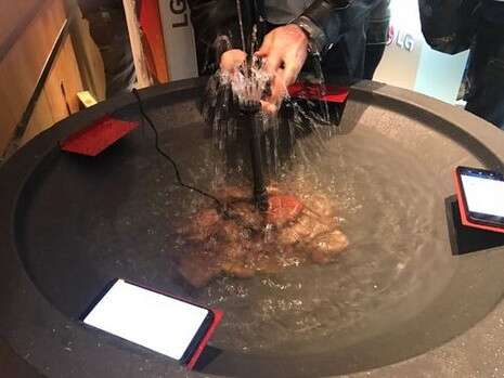 צילום: ינון בן שושן צילום: ינון בן שושן