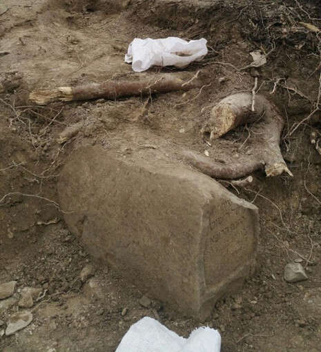 צילום: הקדש בית העלמין צפת צילום: הקדש בית העלמין צפת